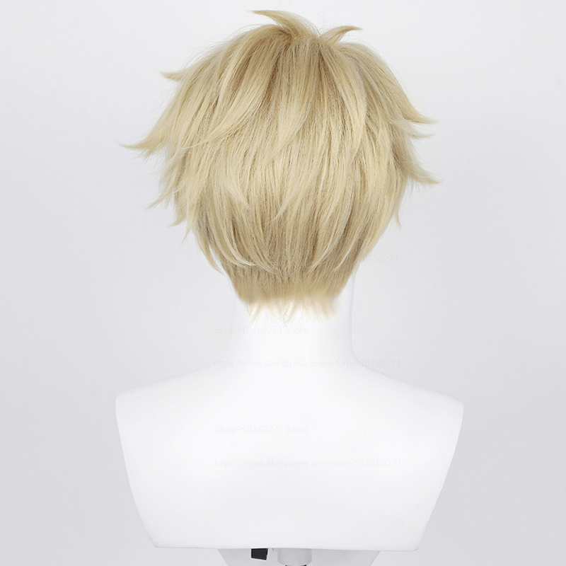 フォガー-コスプレウィッグ,ウィッグウィッグウィッグウィッグ - Anime Cosplay Yor Forger のレビューと価格